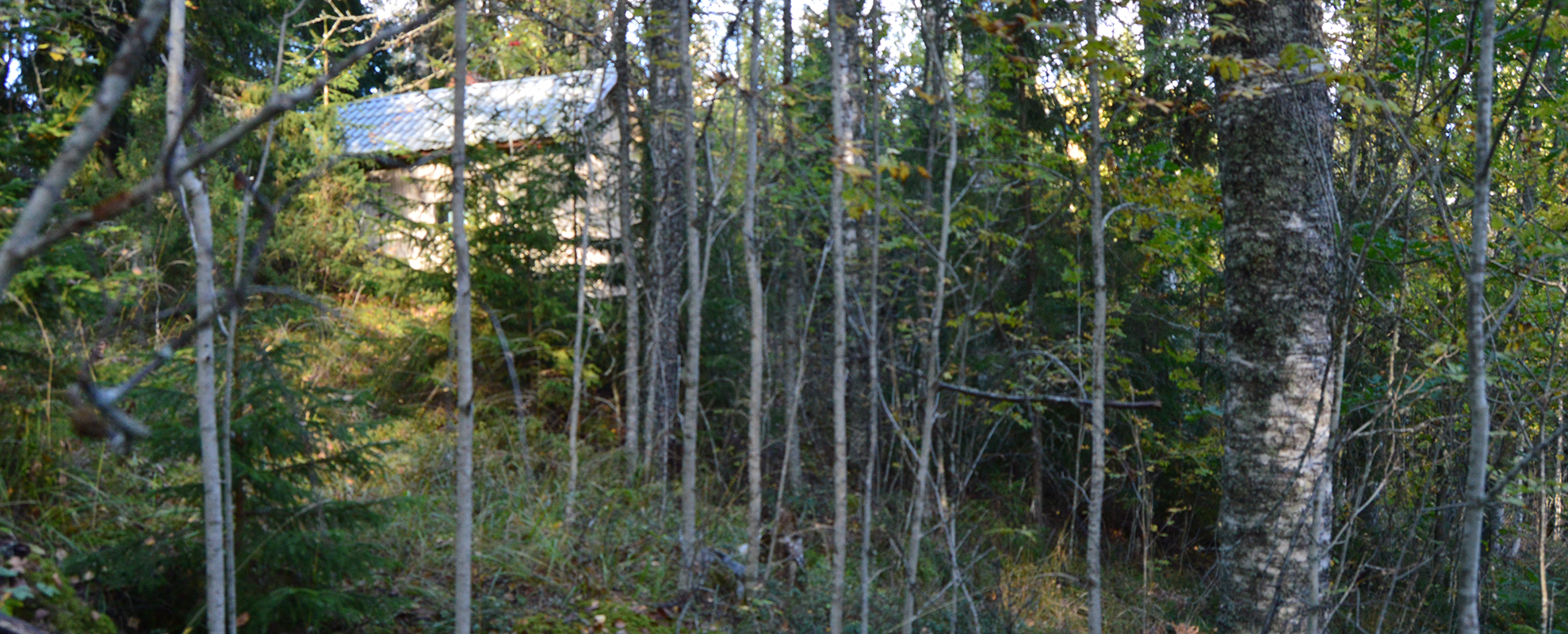 Yläsauna varastona, joka ei ole käytössä.