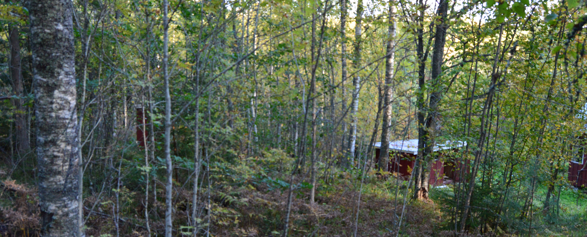 ylärinteestä alaspäin