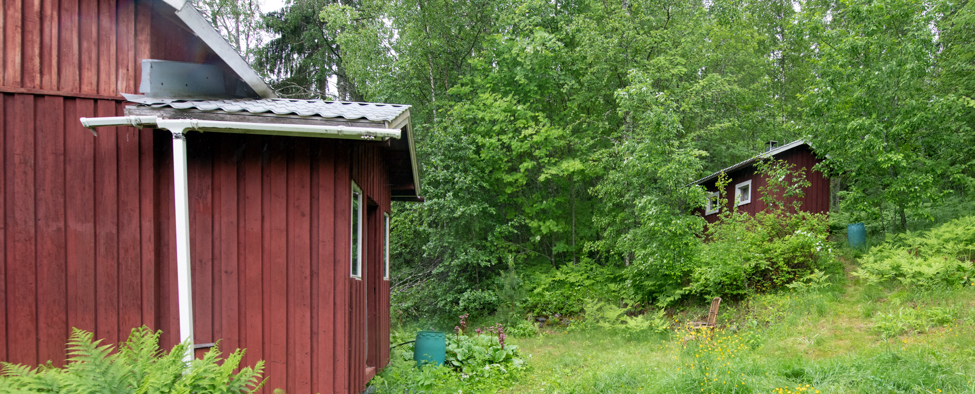 "pihalle päin naapurin silmin" 